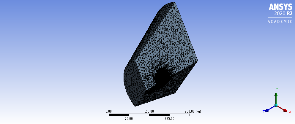 Fluid Domain Mesh